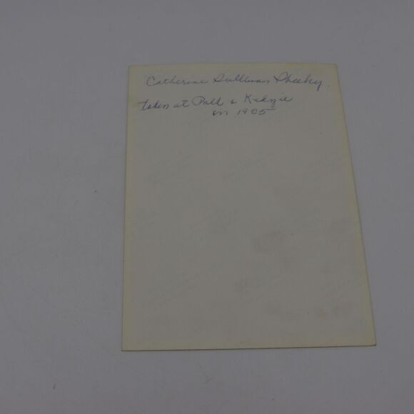 Vintage Photograph Chicago Kedzie & Polk  1905 Old Lady in Dress - Picture 3 of 6